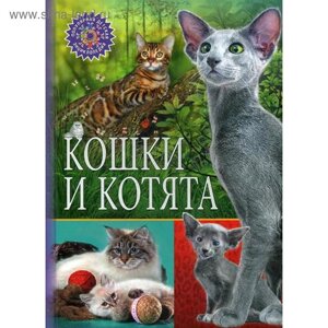 Кошки и котята (Популярная детская энциклопедия)