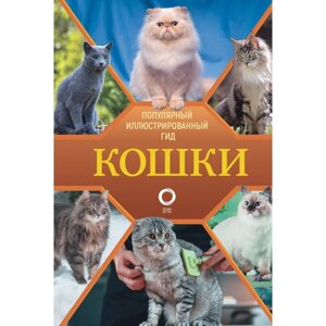 Кошки. Непомнящий Н. Н.