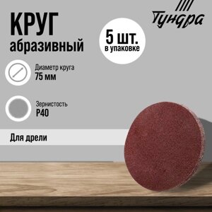 Круг абразивный шлифовальный ТУНДРА, для дрели, М8, 75 мм, P40, 5 шт.