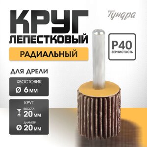 Круг лепестковый радиальный ТУНДРА, 20 х 20 х 6 мм, Р40