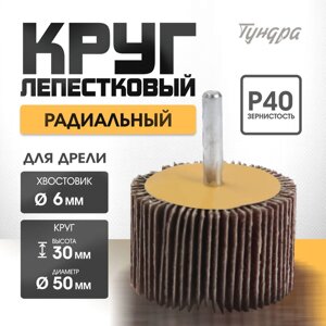 Круг лепестковый радиальный ТУНДРА, 50 х 30 х 6 мм, Р40