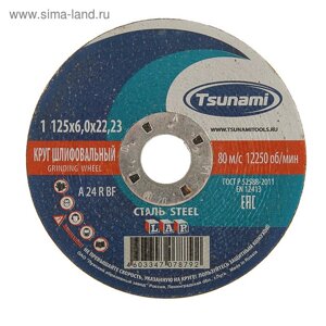Круг зачистной по металлу TSUNAMI A24 R BF Pg, 125 х 22 х 6 мм