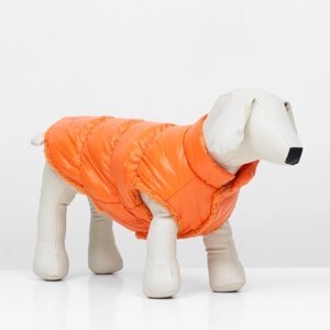 Куртка для собак "Блеск", 2XL (ДС 45, ОГ 64, ОШ 38 см), оранжевая