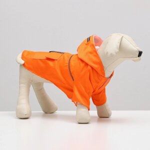 Куртка со светоотражающими полосами, размер XL, оранжевая (ДС 40, ОГ 56, ОШ 42 см)