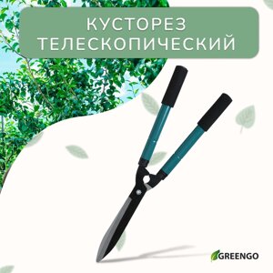 Кусторез, 22–28.5"56–73 см), телескопический, с поролоновыми ручками, с чехлом, цвет МИКС, Greengo