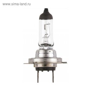 Лампа автомобильная Narva RP50 +50%H7, 12 В, 55 Вт, 48339 (бл. 1)