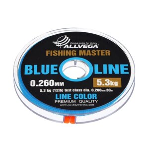 Леска монофильная ALLVEGA Fishing Master, диаметр 0.260 мм, тест 5.3 кг, 30 м, голубая