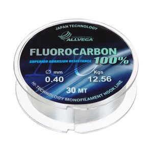 Леска монофильная ALLVEGA FX Fluorocarbon 100%диаметр 0.40 мм, тест 12.56 кг, 30 м, прозрачная