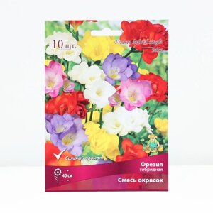 Луковица Фрезия гибридная Cмесь окрасок, р-р 5/6, 10 шт, Лето 2025