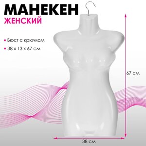 Манекен женский, бюст с крючком, 381367 см, цвет белый