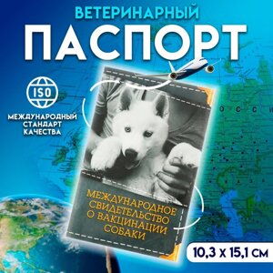 Международное свид-во "О вакцинации собаки", 36 страниц, 10,3 х 15,1 см