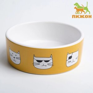 Миска керамическая "Опасные коты" 230 мл 12,5 x 4,5 cм, бело-оранжевая