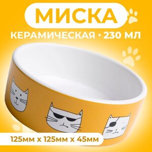 Миска керамическая "Опасные коты" 230 мл 12,5 x 4,5 cм, бело-оранжевая