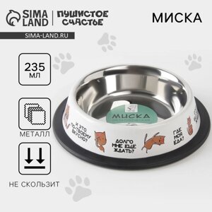 Миска металлическая для кошки с нескользящим основанием «Где моя еда?235 мл, 15х3.5 см