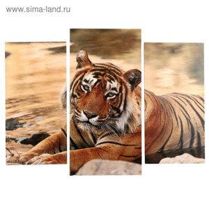 Модульная картина "Тигр у воды"2-25х50, 30х60 см) 60х80 см