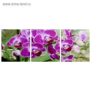 Модульная картина "Веточка орхидеи"3-35х35) 35х105 см