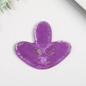 Молд акриловый "Лист орхидеи" 7х6 см