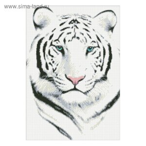 Набор алмазной мозаики «Белый тигр»
