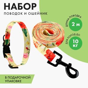 Набор «Цветы», застёжка - фастекс, поводок 2 м и ошейник 28-46 см