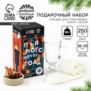 Набор для приготовления глинтвейна «Пряного нового года»бокал 250 мл., специи 30 г., носки