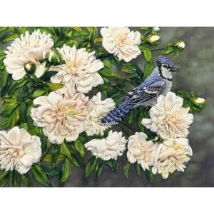 Набор для вышивания лентами «Многоцветница»Птичка певчая», 26х35 см