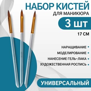 Набор кистей для наращивания и дизайна ногтей, лепесток, 3 шт, 17 см, прозрачный, золотистый