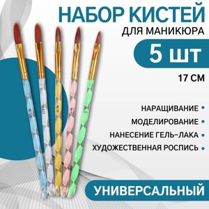 Набор кистей для наращивания и дизайна ногтей «Лепесток», 5 шт, 17 см,4/6/8/10/12, разноцветный