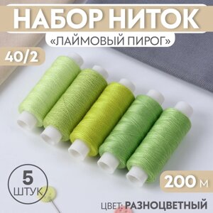 Набор ниток «Лаймовый пирог», 40/2, 200 м, 5 шт, цвет разноцветный