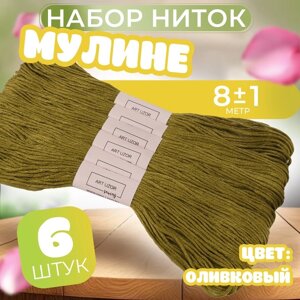 Набор ниток мулине №831, 8 1 м, 6 шт, цвет оливковый