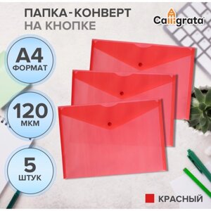 Набор папок-конвертов на кнопке 5 штук, А4, 120 мкм, Calligrata, прозрачные, красные