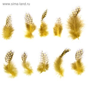Набор перьев для декора 10 шт., размер 1 шт: 5 2 см, цвет жёлтый с коричневым