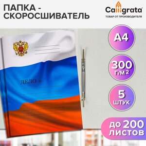 Набор скоросшивателей 5 штук, Calligrata "Дело", 300г/м2, до 200 листов, картон мелованный, трикалор