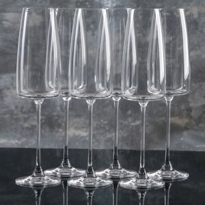 Набор стеклянных бокалов для шампанского Lord, 340 мл, 6 шт