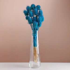 Набор сухоцветов "Ворсянка", банч 7-8 шт, длина 50 (6 см), ярко-синий