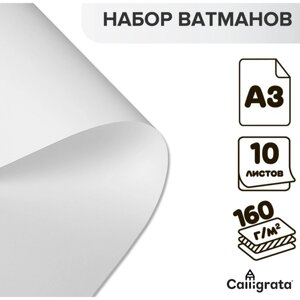 Набор ватманов чертёжных А3, 160 г/м²10 листов