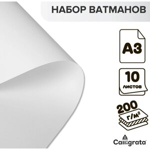 Набор ватманов чертёжных А3, 200 г/м²10 листов