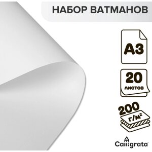 Набор ватманов чертёжных А3, 200 г/м²20 листов