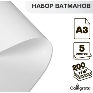 Набор ватманов чертёжных А3, 200 г/м²5 листов