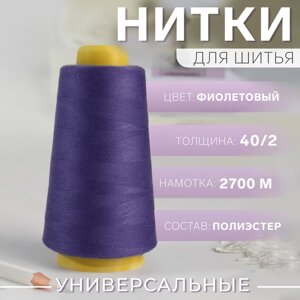 Нитки 40/2, 2700 м, цвет фиолетовый