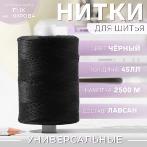 Нитки 45ЛЛ, 2500 м, цвет чёрный №6818