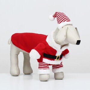 Новогодний костюм для собак "Клаус", размер XS (ДС 20, ОГ 30см)