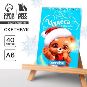 Новый год. Скетчбук А6, 40 л «Чудеса рядом»