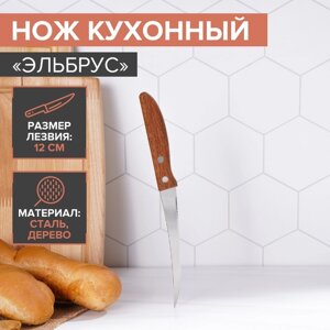 Нож кухонный для цитрусовых Доляна «Эльбрус», лезвие 12 см