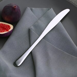 Нож столовый из нержавеющей стали Доляна «Плейн Бритиш», длина 22,7 см, толщина 2 мм