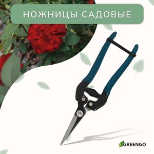 Ножницы садовые, 8"20 см), с пластиковыми ручками, Greengo