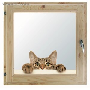 Окно 50х60 см, "Кошак", однокамерный стеклопакет, уплотнитель, хвоя