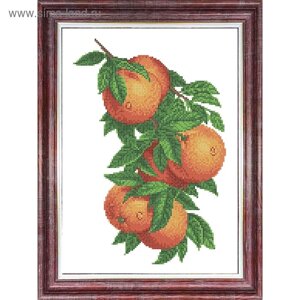 Основа-ткань для вышивки бисером и крестом «Ветка с апельсинами»