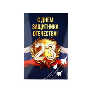 Открытка «С 23 Февраля! самолёты, 12 х 18 см