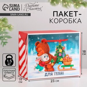 Пакет-коробка «Для тебя», 23 х 18 х 11 см