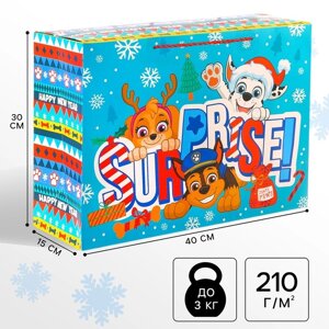 Пакет-коробка «Surprise», 15х40х30 см, Paw Patrol